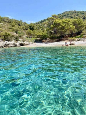 Tour de Vis